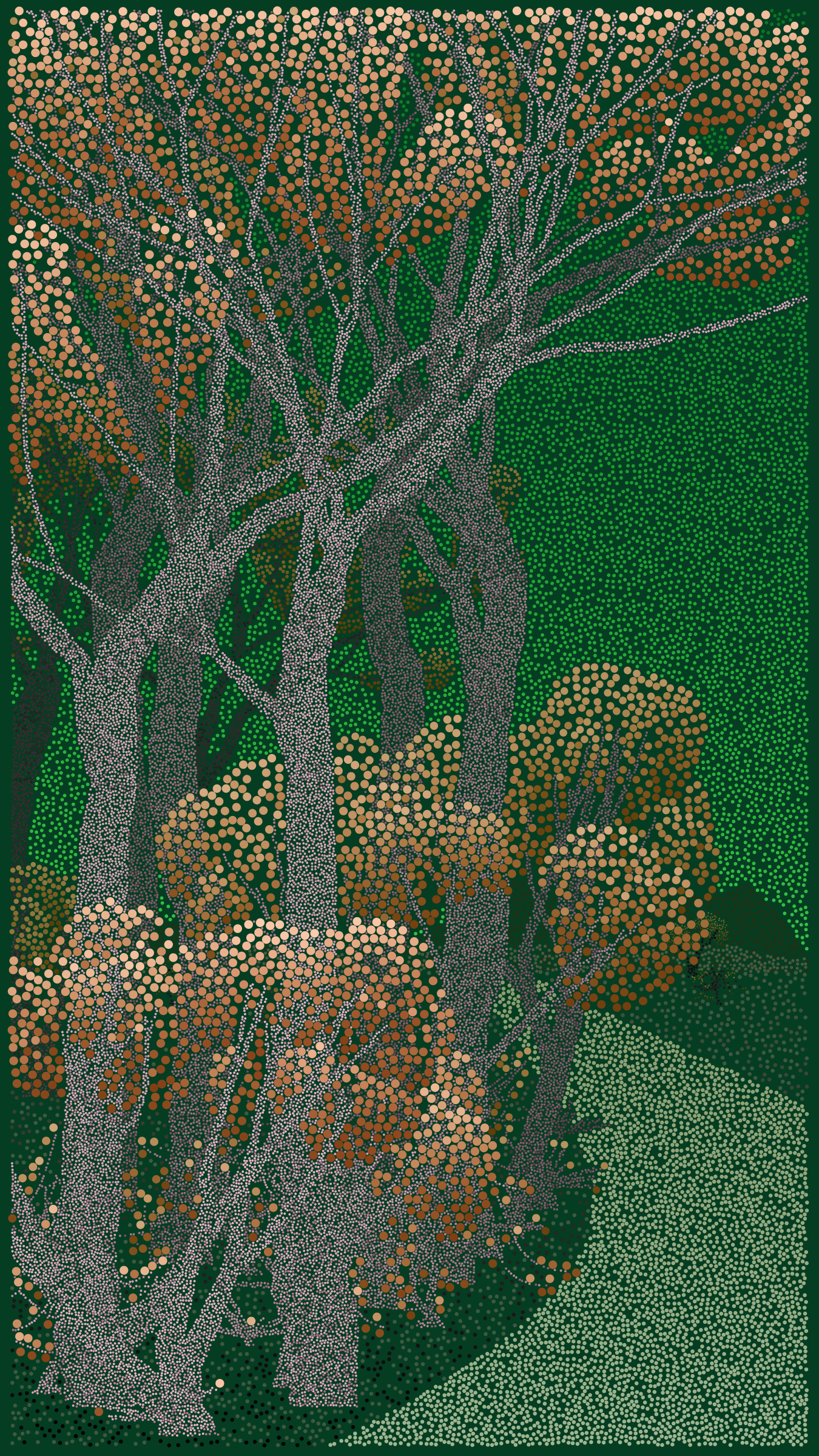 Bosque de Chapultepec #65